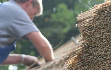 professional Moore thatchers